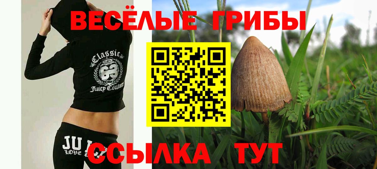Галлюциногенные грибы Magic Shrooms  Галлюциногенные грибы мицелий  Вход с VPN  наркошоп  Семёнов 